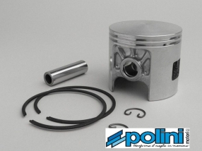 PISTONE POLINI